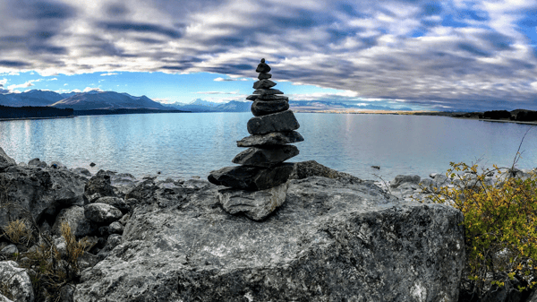 Picture for: TAI CHI & QIGONG GENTLE EXERCISES