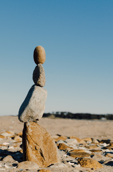 Picture for: TAI CHI: 24 FORMS