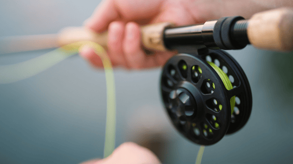 Course Fly Casting Instruction image 1