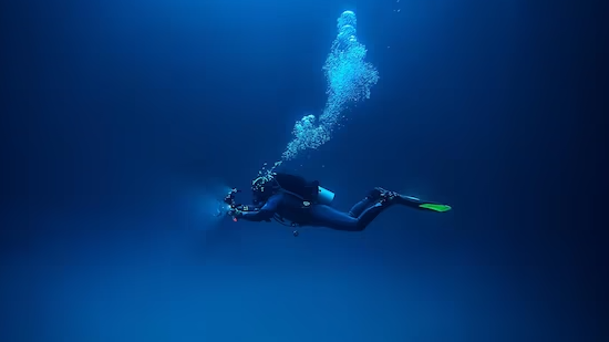 Image for Beginning Scuba Diving
