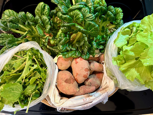 Picture for: Small & Sustainable - One Couple’s Journey