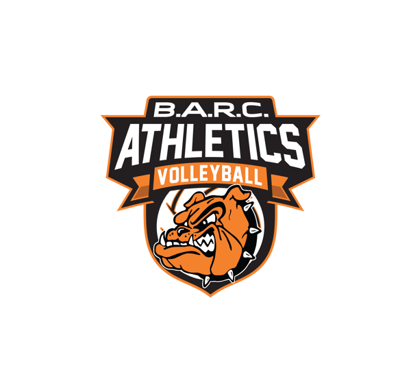 Picture for: B.A.R.C. Fall Volleyball 2026