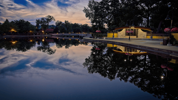 Course Photography 101 & The Art of Seeing image 3