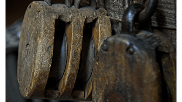 Image for Photography 101 & The Art of Seeing