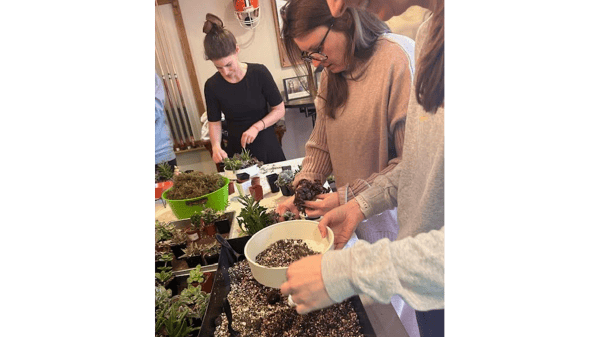 Course The ART of Succulent Gardening Workshop image 1