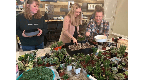 Course The ART of Succulent Gardening Workshop image 2