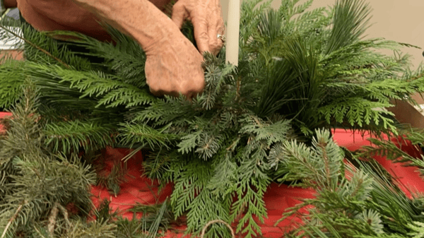 Picture for: Fresh Evergreen Centerpiece Workshop