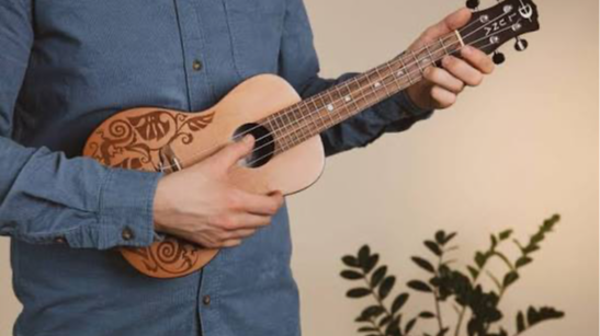 Picture for: NEW! Instant Ukulele for Hopelessly Busy People