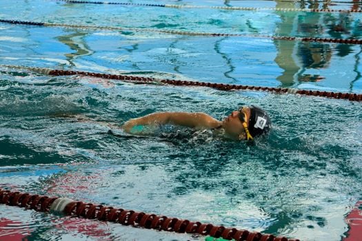Picture for: Intro to Competitive Swimming.