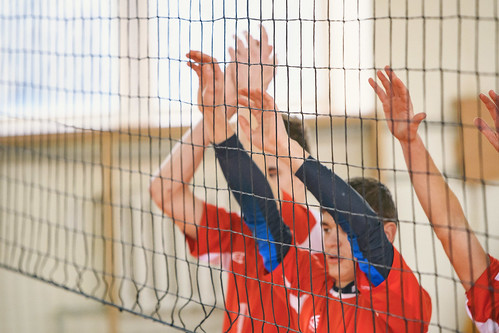 Picture for Adult Volleyball