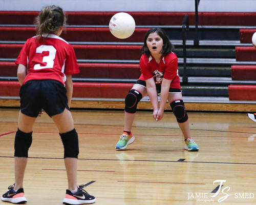 Picture for Youth Volleyball