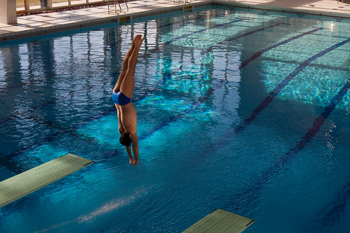 Picture for Bulldog Summer Diving