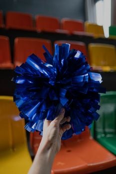 Picture for: Youth Introductory Cheer