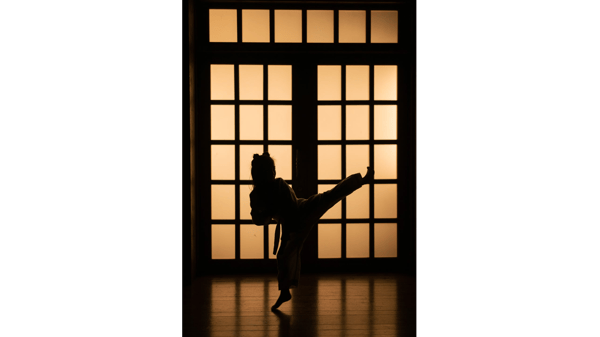 Picture for: Karate Uechi Beginner at Park Ave Fitness