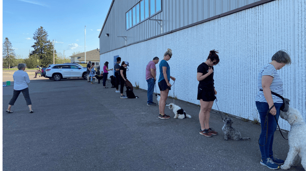 Picture for: Basic Dog Obedience