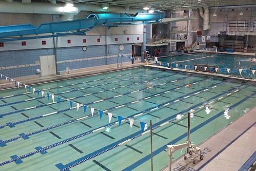 Picture for: Adult Lap Swim
