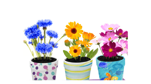 Course Crafts Class - AWD image 2