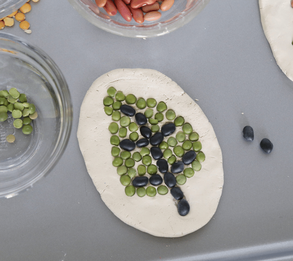 Course Air Dry Clay Seed Mosaic image 2