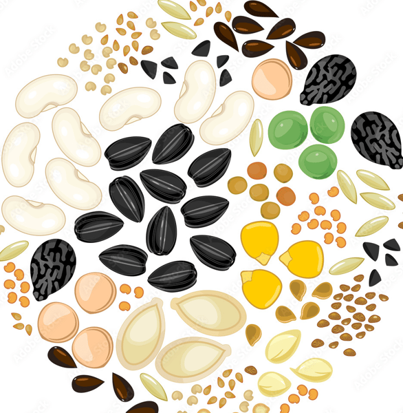 Image for Air Dry Clay Seed Mosaic
