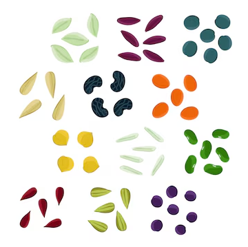 Image for Air Dry Clay Seed Mosaic