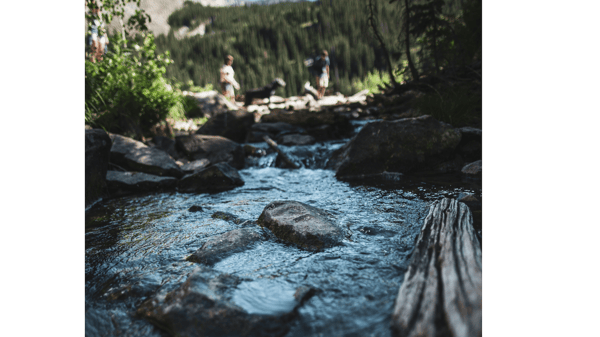 Picture for: Backpacking Basics (Online)