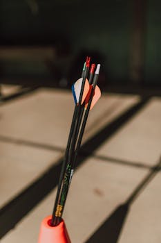 Picture for: Archery Team (grades 6-12)