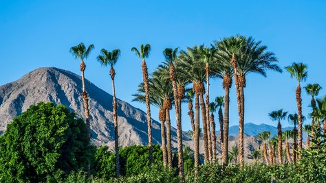 Course Landmark Tours Travel Presentation - FREE image 1