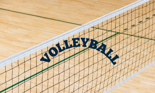 Picture for Volleyball