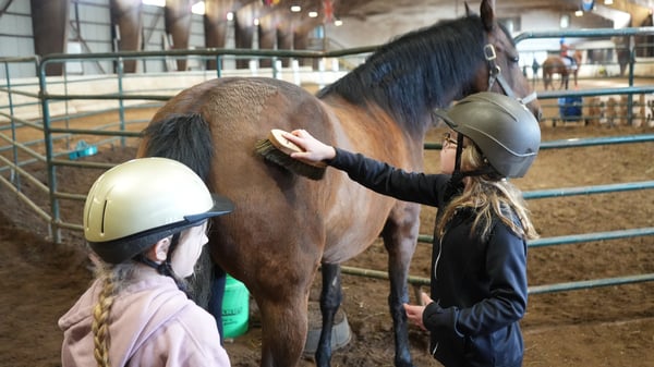Course Horse Camp (ages 8-14) image 4
