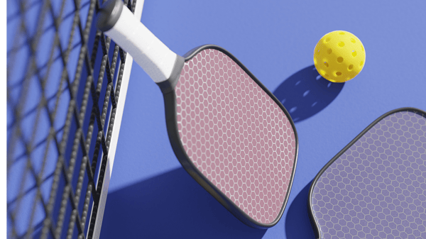 Course TGA Pickleball (Grades 6-8) image 1