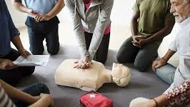 Course Family and Friends CPR and First Aid (ages 9+) image 2