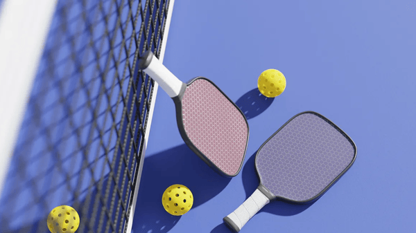 Course Paddle Up! Pickleball Basics image 1