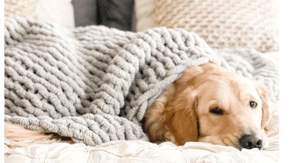 Course Chunky Knit Blanket Workshop - NEW image 1