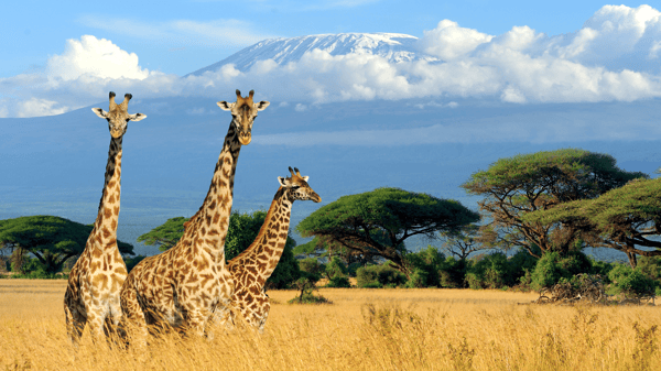 Course Landmark Tours Travel Presentation - FREE image 5