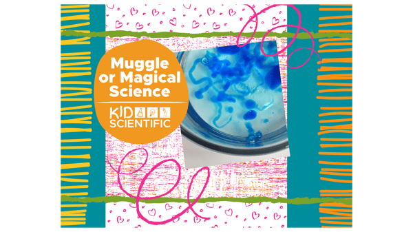 Picture for: Science Week #2 - Muggle or Magical Science (completed grades K-4)