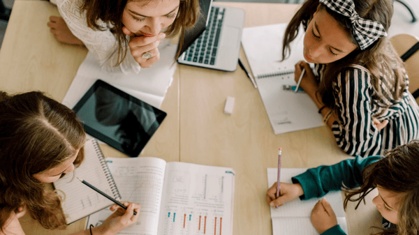 Course Young Entrepreneurs Program (completed grades 5-8) - NEW FREE image 1