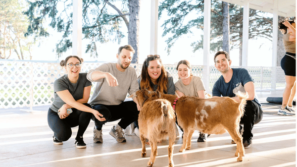 Course Goat Yoga (Ages 12+) - NEW image 3