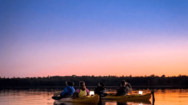 Picture for: Kayak Full Moon Adventure - NEW