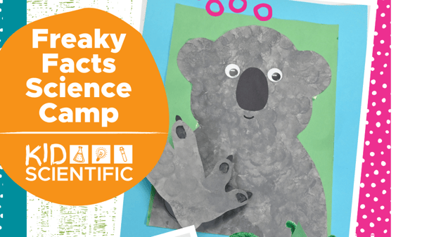 Picture for: Freaky Facts Science Camp (grades K-5)