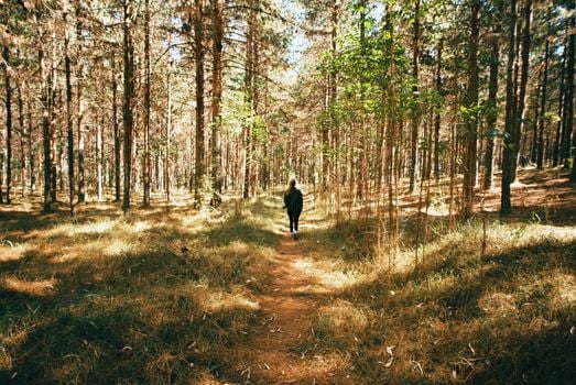 Picture for Forest Walk for Mind, Body & Soul: Move, Breathe, Connect, and Recharge in Nature