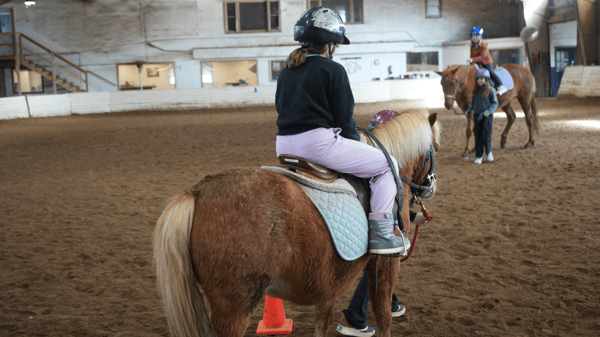 Course Horse Camp (ages 8-14) image 3