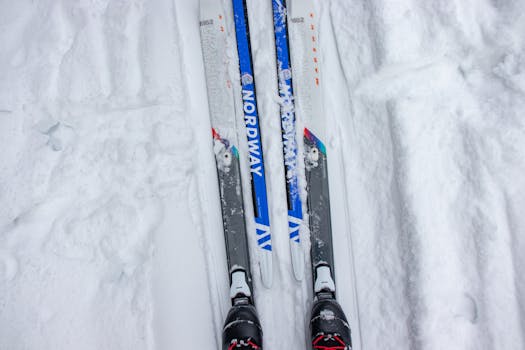 Picture for Nordic Ski Club (grades 6-12)