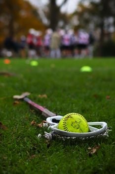 Picture for: Intro to Lacrosse (grades K-2 and 3-5)