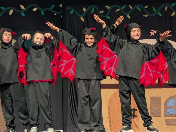 Picture for Theatre and Music