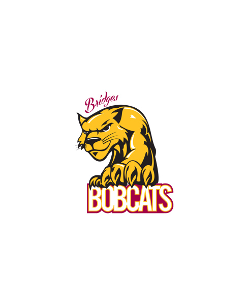 Image for SCAT Club @ Bridges