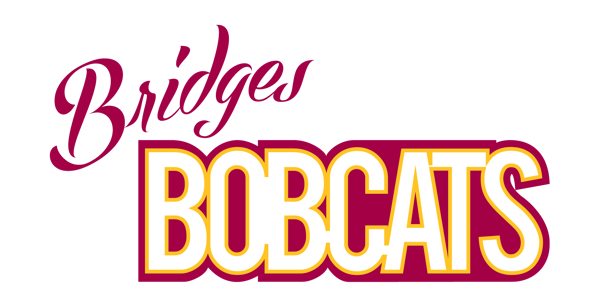 Picture for: HYSL Show Cheer - BRIDGES