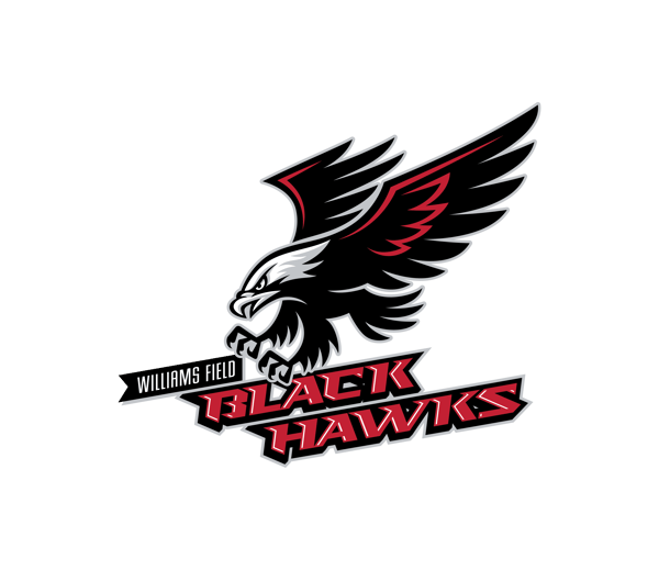 Image for WFHS Softball Pre-season