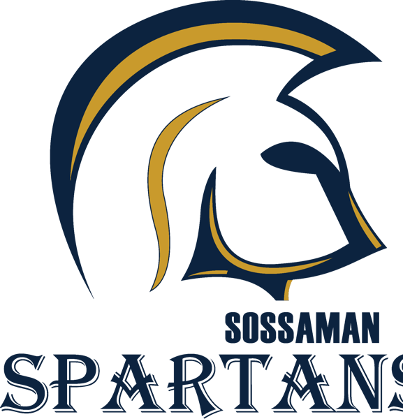 Image for SMS Football
