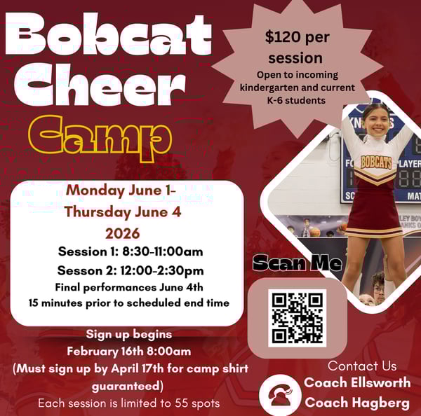 Image for Bridges Summer Cheer