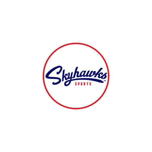 Course Skyhawks Spring Break Camp image 1
